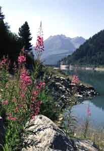 Neves-Stausee, Lappacher Tal, Südtirol